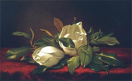 Martin Johnson Heade Magnoliae Grandiflorae